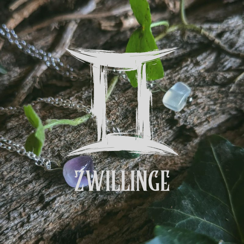 Zwillinge