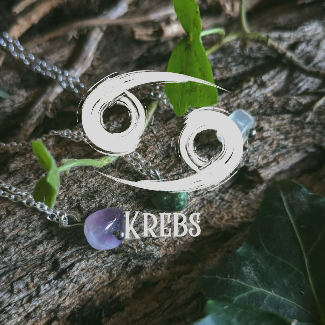 Krebs