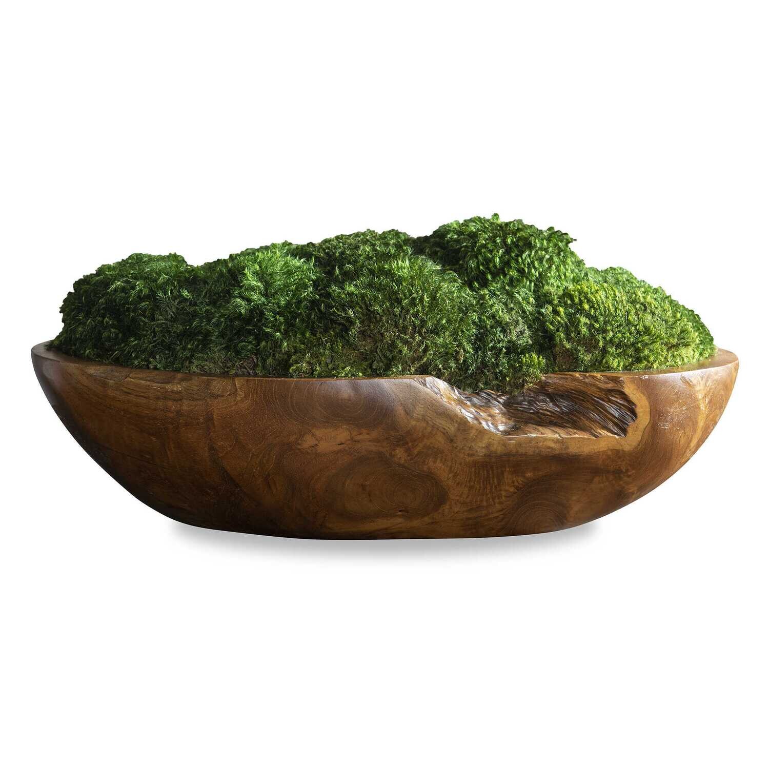 Teak and Moss Centerpiece