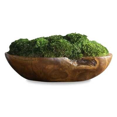 Teak and Moss Centerpiece