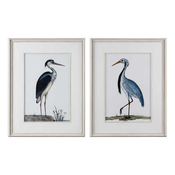 Set of 2 Coastal Birds Framed Prints