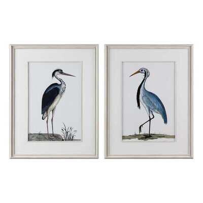 Set of 2 Coastal Birds Framed Prints