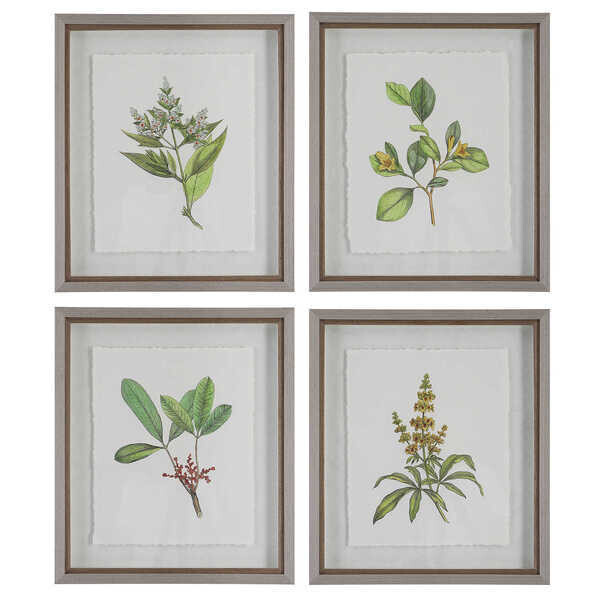 Set of 4 Botanical Wildflowers Framed