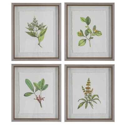 Set of 4 Botanical Wildflowers Framed