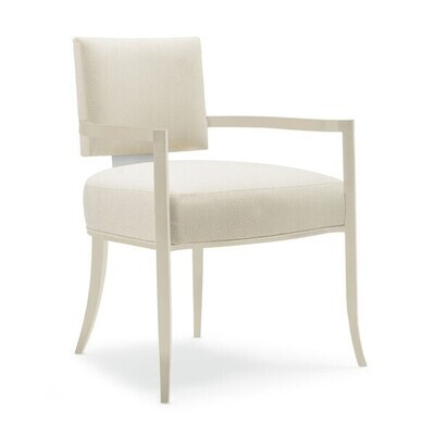 Dining chair with Brushed Steel Back