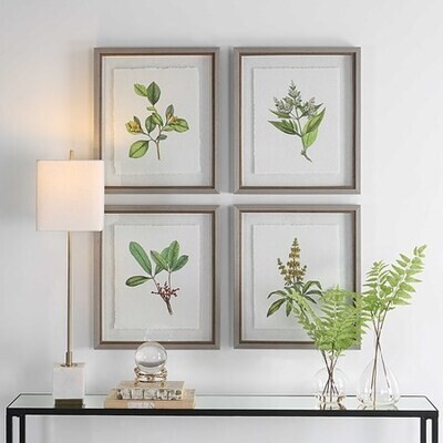 Framed Prints