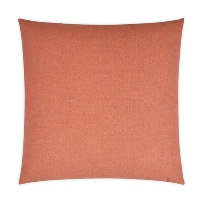 Exotic Guava Colored Pillow 22 x 22