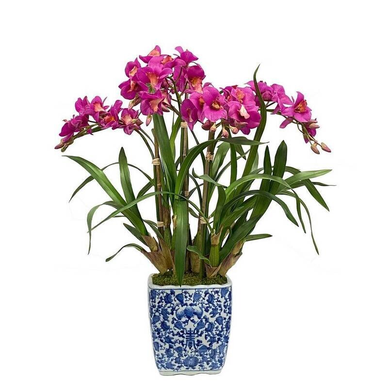 Large Blue Orchid Cachepot