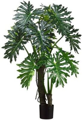 5' EVA Split Leaf Plant  