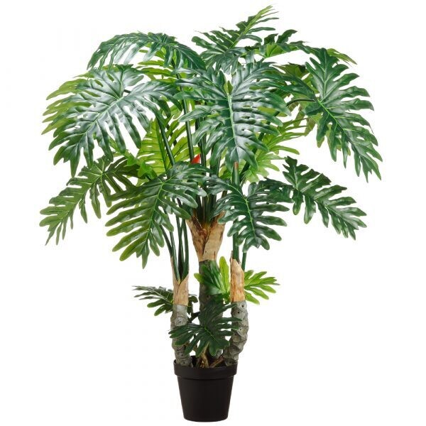 67" Selloum Philo Plant x3
