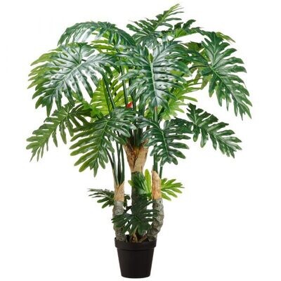 67" Selloum Philo Plant x3