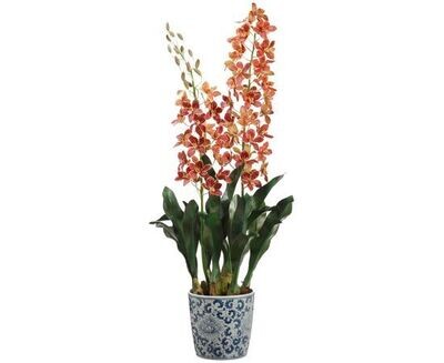 40" Grammatophyllum Orchid