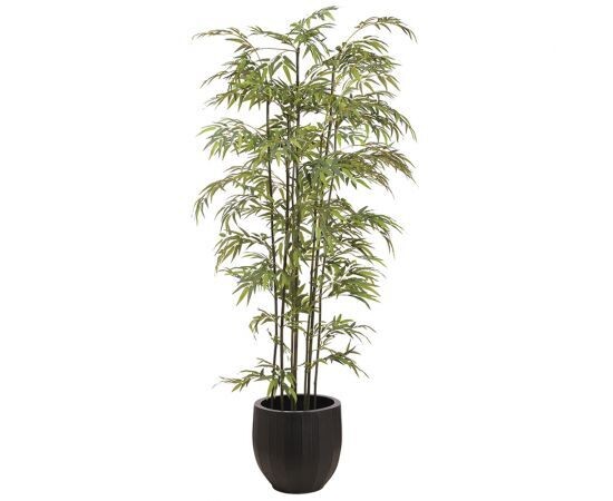 8' Bamboo Tree in Metal Pot  