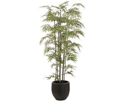 8' Bamboo Tree in Metal Pot  