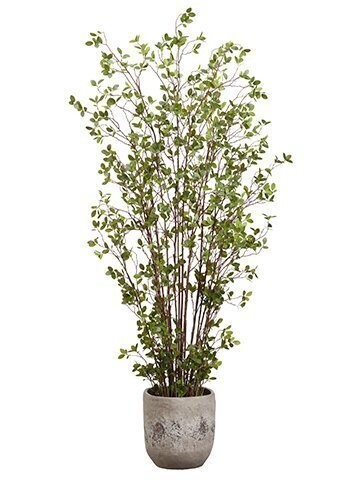6' Mini Leaf in Cement Planter