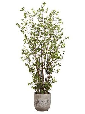 6' Mini Leaf in Cement Planter
