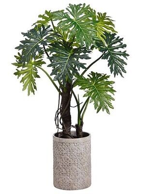 71″ EVA Plume Split Leaf Plant