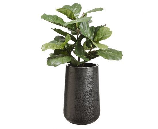 Fiddle Leaf Fig Tree in Textured Planter