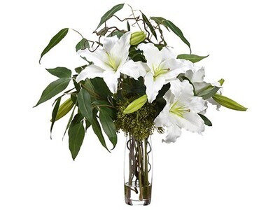 Casablanca Lily & Eucalyptus in Glass Vase