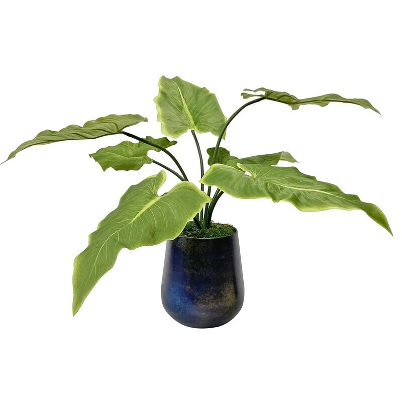 Mari Calla Planter Accent - Green Splendor