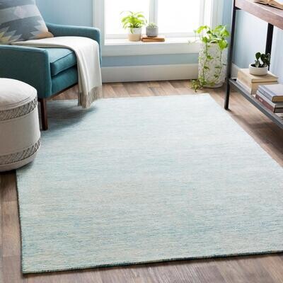 light aqua area rug