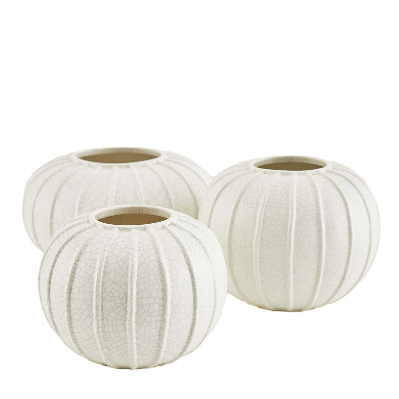 Pompano Vases, Set of 3 - Ivory Crackle