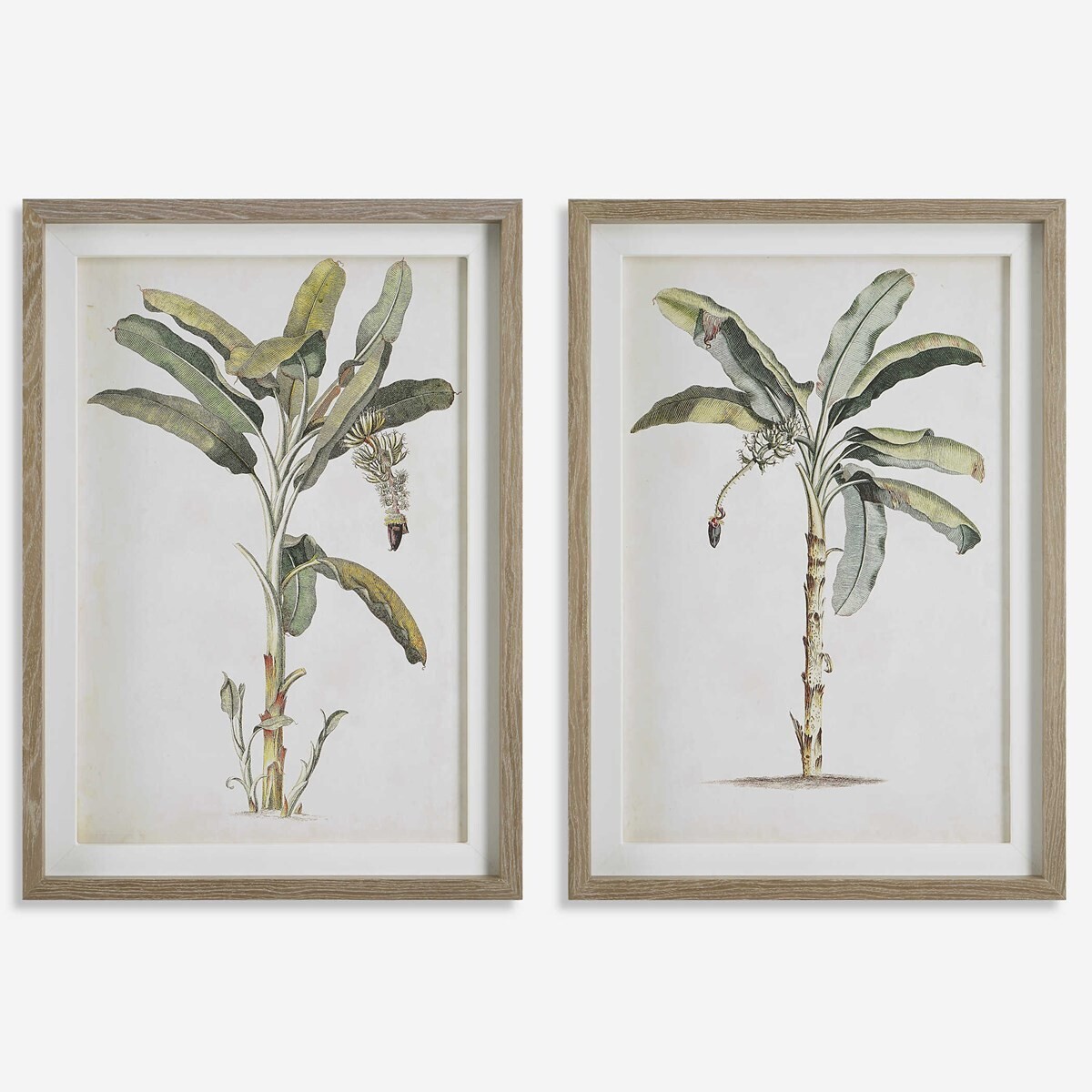 Banana Palm Framed Art Prints - Set of 2