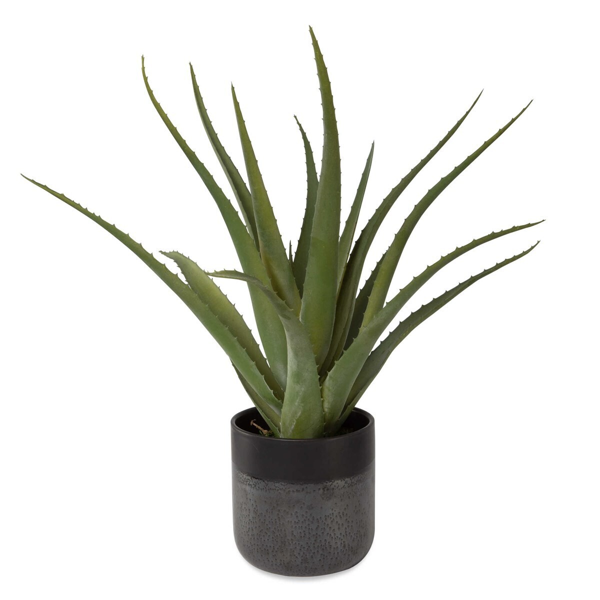 Tucson Faux Aloe Planter