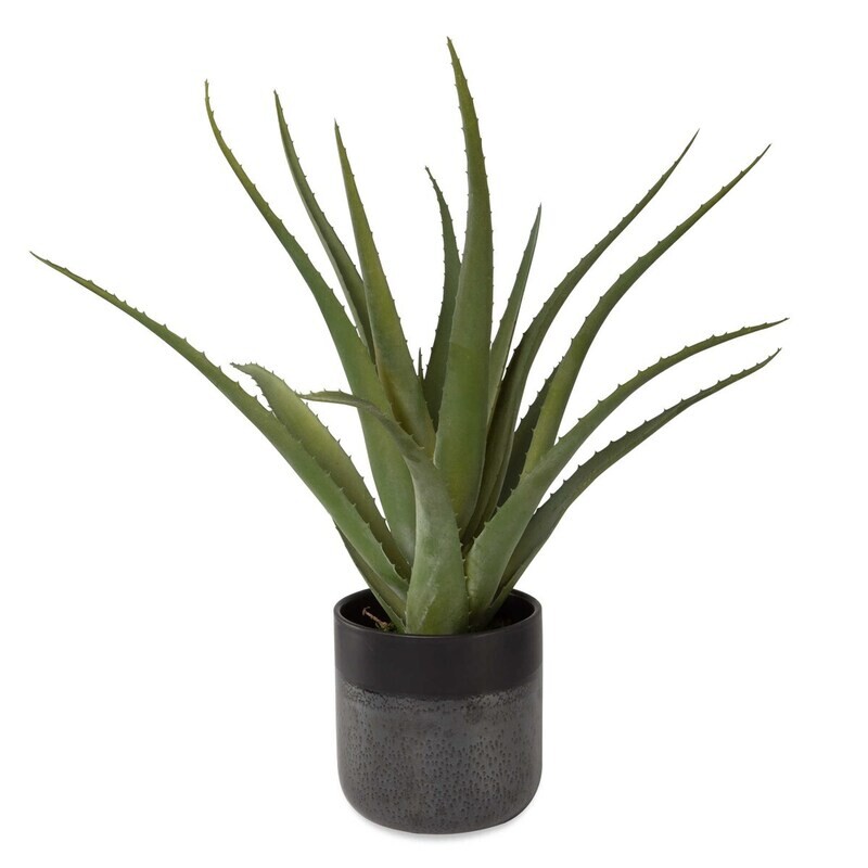 Tucson Faux Aloe Planter