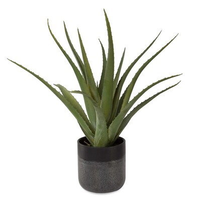 Tucson Faux Aloe Planter