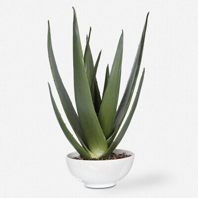 Evarado 30" Artificial Aloe Plant in White Ceramic Pot