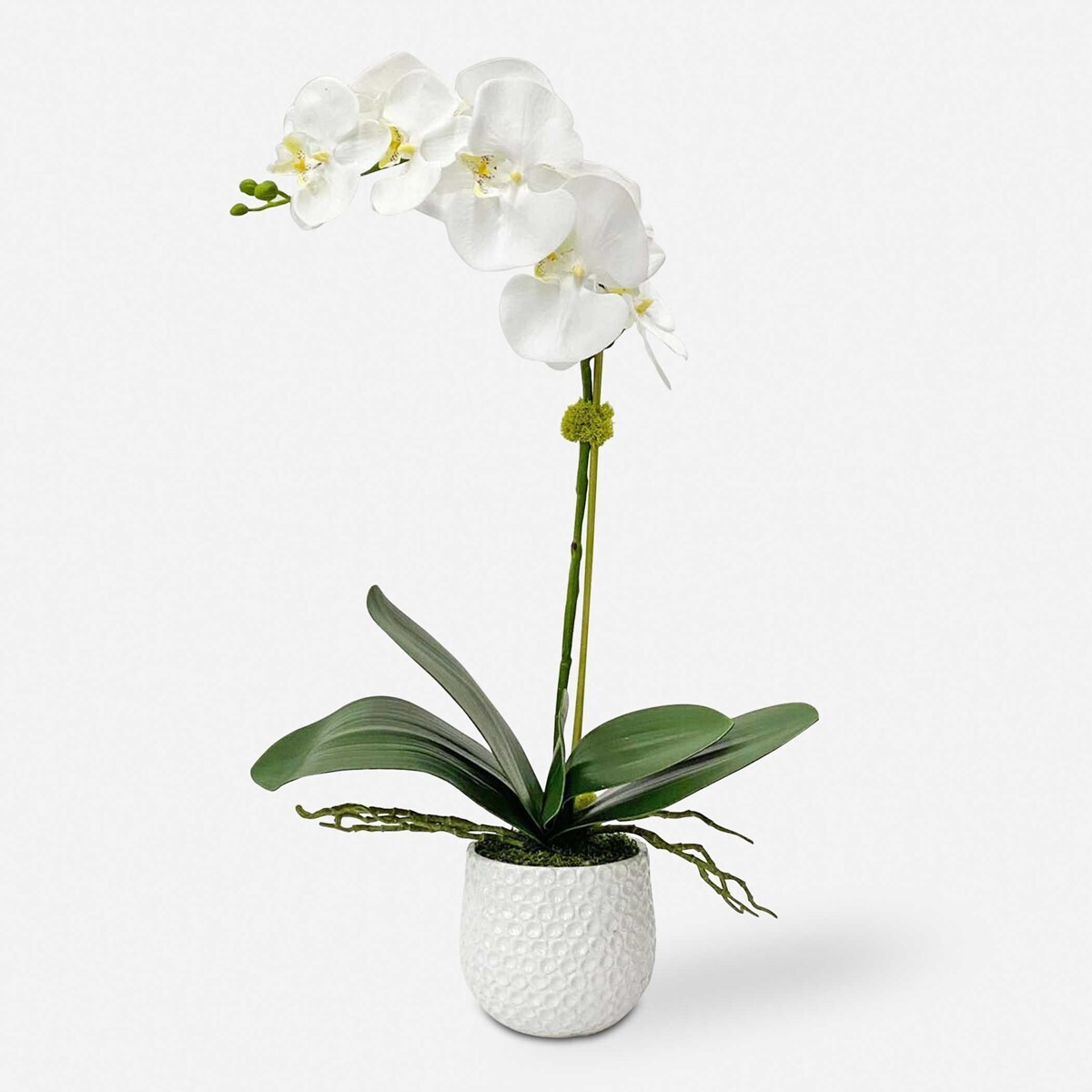 Cami Artificial White Orchid Arrangement in White Pot