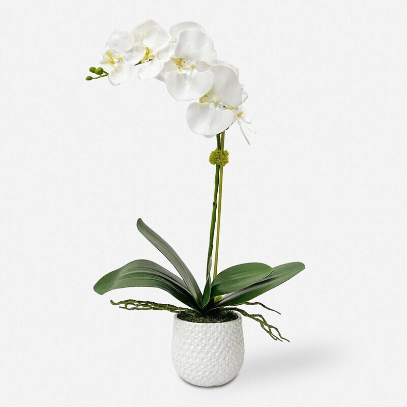 Cami Artificial White Orchid Arrangement in White Pot