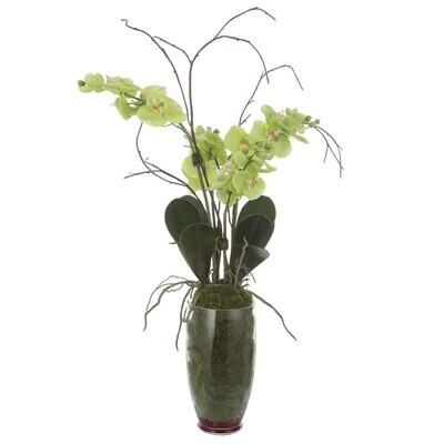 Valdive 38" Green Orchid Artificial Arrangement in Vase