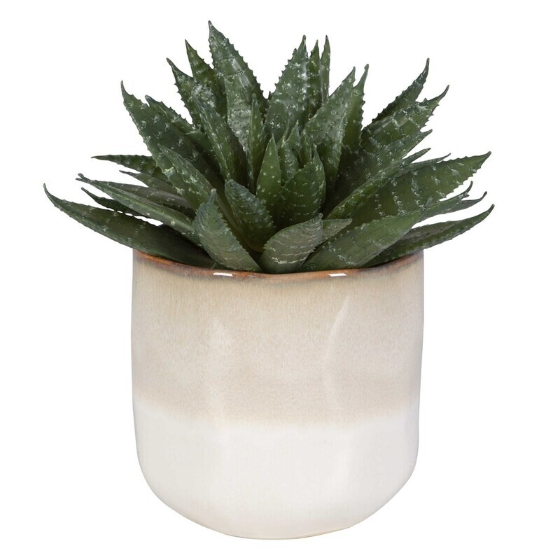 Doha Potted Green Indoor Faux Succulent Plant