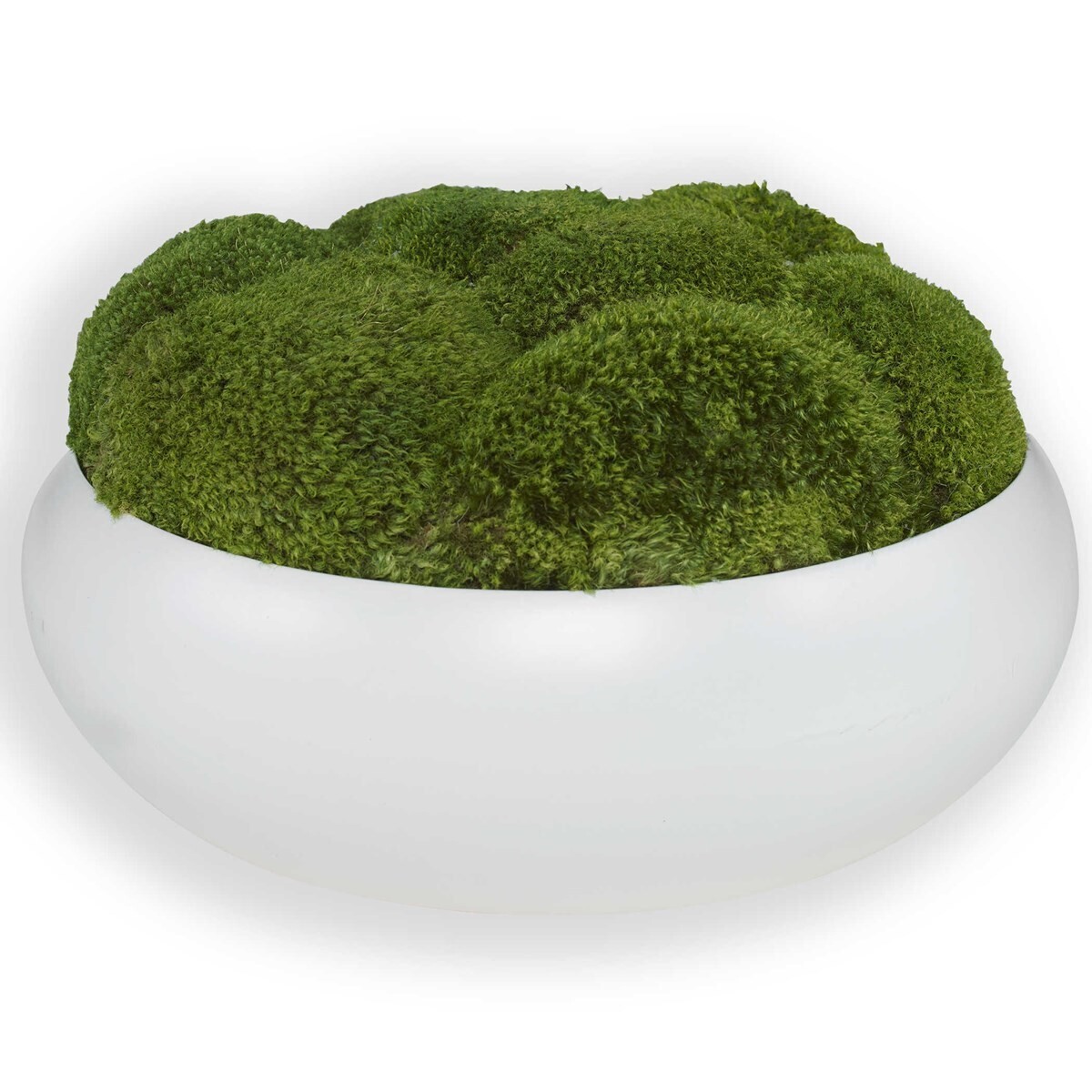 Gratia Preserved Moss Bowl Table Centerpiece