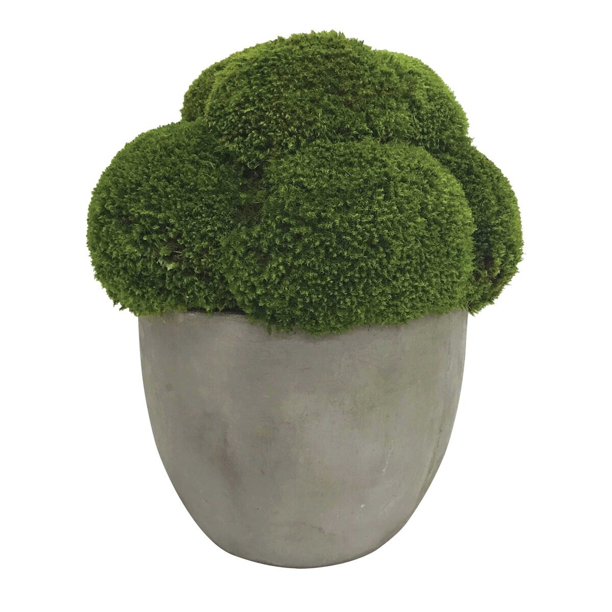 Cale Moss Centerpiece Accent