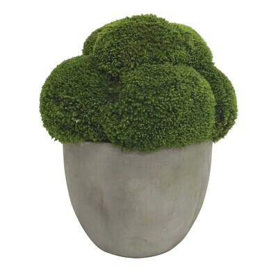 Cale Moss Centerpiece Accent