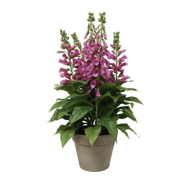 Soft-Touch 29" Artificial Foxglove Plant in Decorative Pot