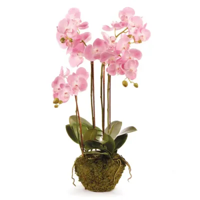 Phalaenopsis Faux Pale Pink Orchid Drop-In
