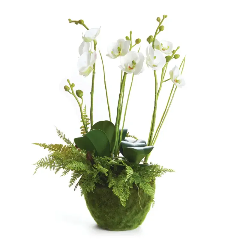 Artificial White Phalaenopsis Orchid and Fern Drop-In