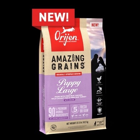 ORIJEN Grain Puppy Lg Brd 22.5