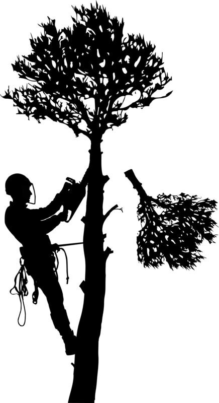 ARBORIST EQUIPMENT