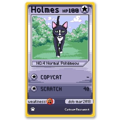 Holmes Card