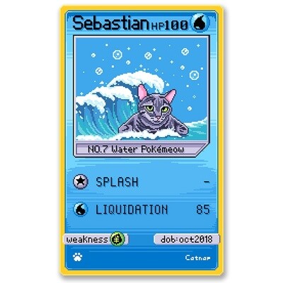 Sebastian Card