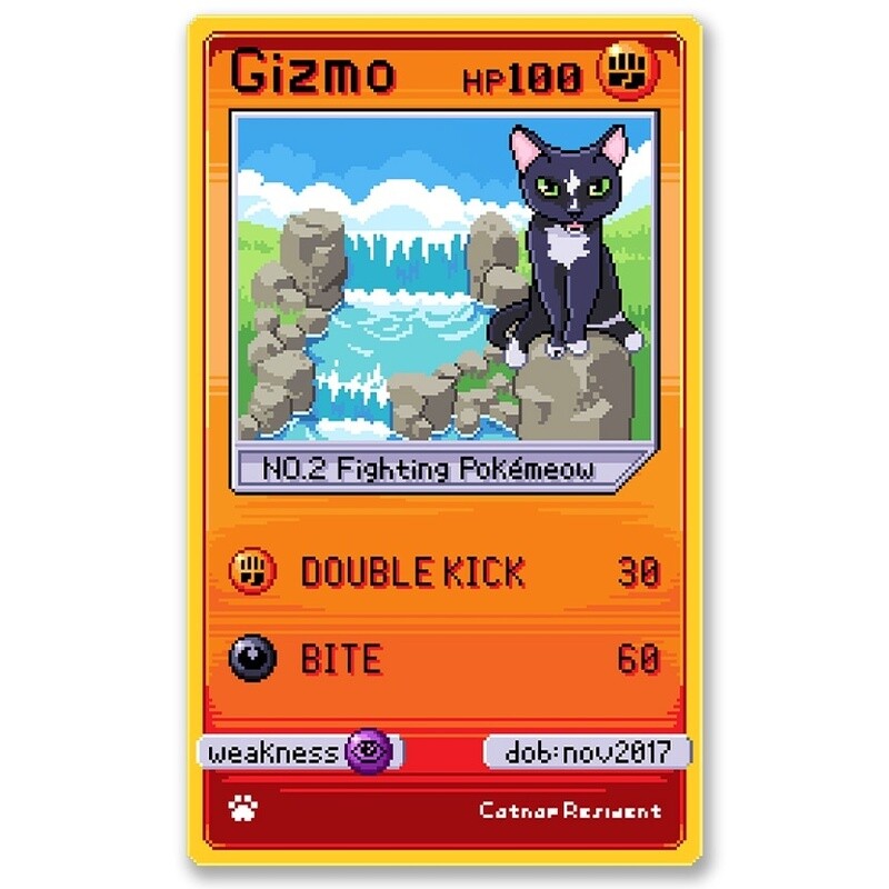 Gizmo Card