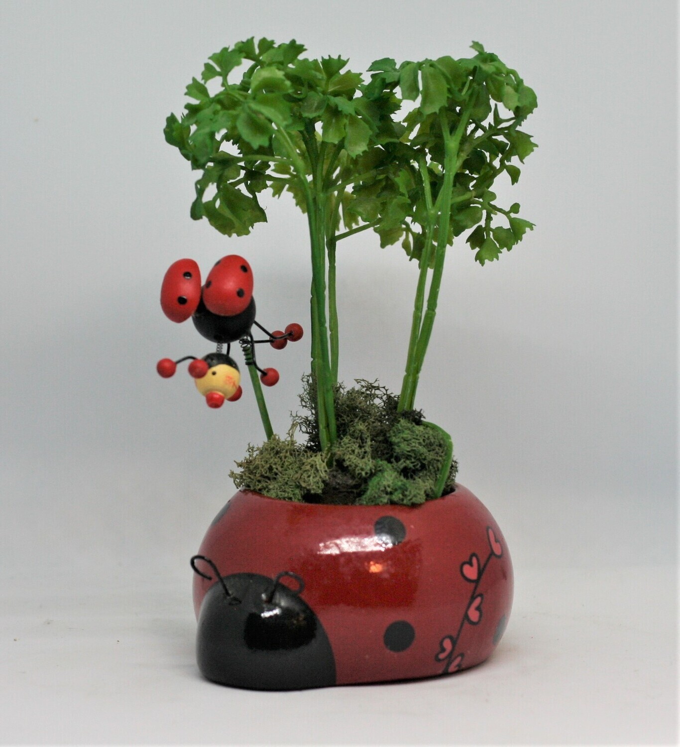 Enhance Your Décor with Red Lady Bug and Artificial Plant