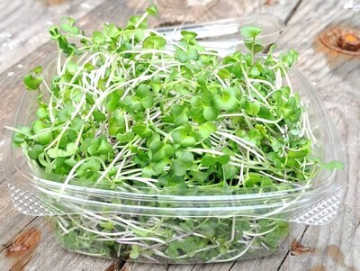 Organic Brassica Mix Microgreens 50g