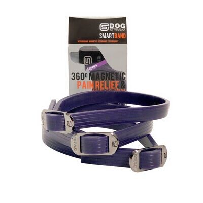 DOG StreamZ Magnetic Dog Collars - Purple Silicone Up to 55cm Standard