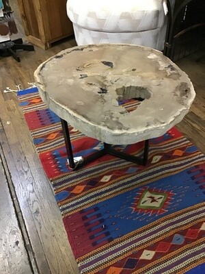 Petrified Wood Small Coffee table